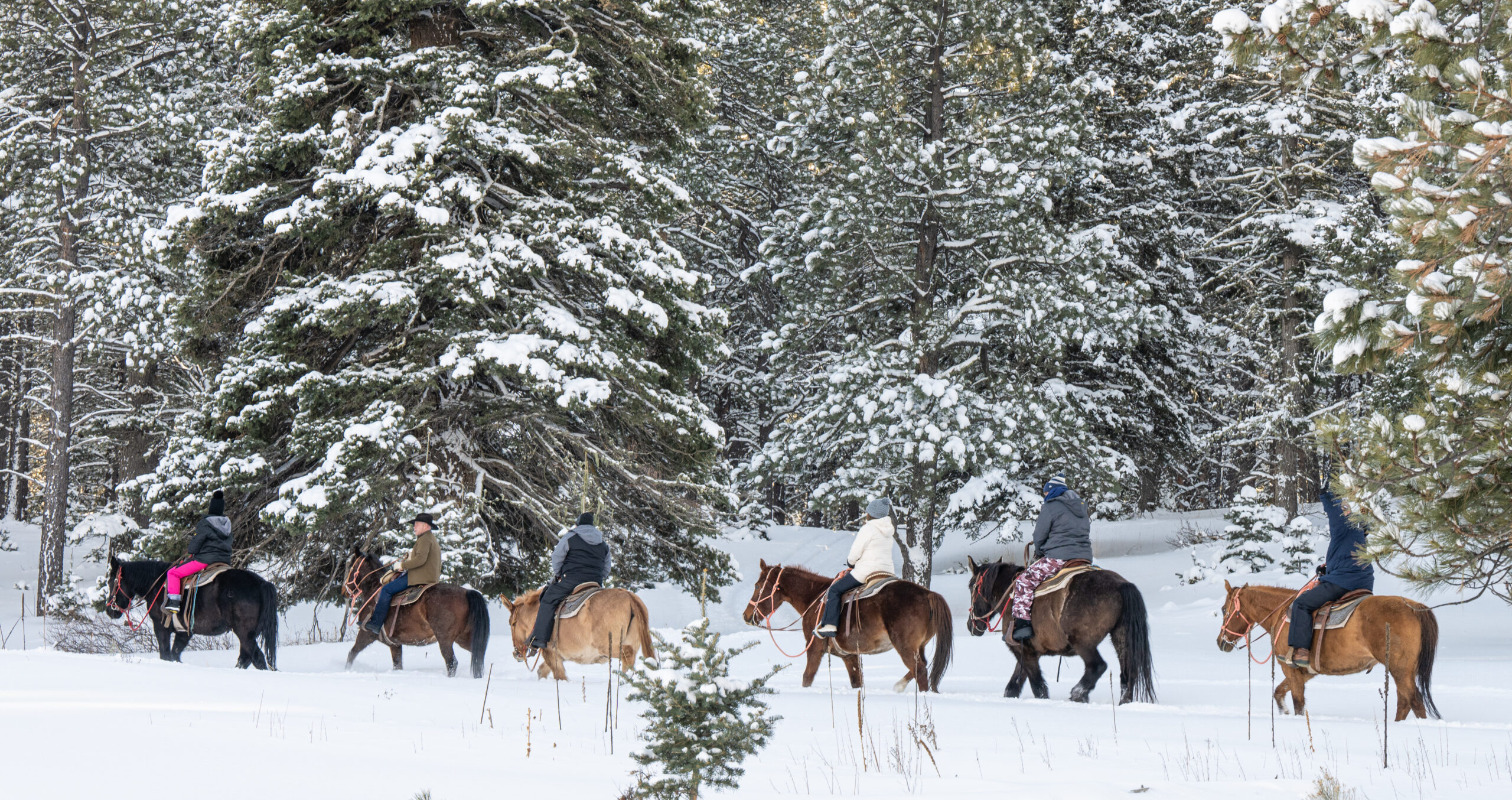 Horseback riding in Angel Fire, New Mexico